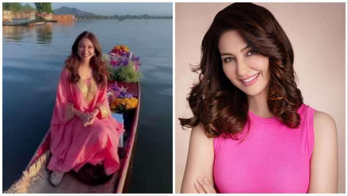 कश्मीर की वादियों में घूम रही हैं 'गोरी मेम', वीडियो में बताया क्या-क्या खरीदा