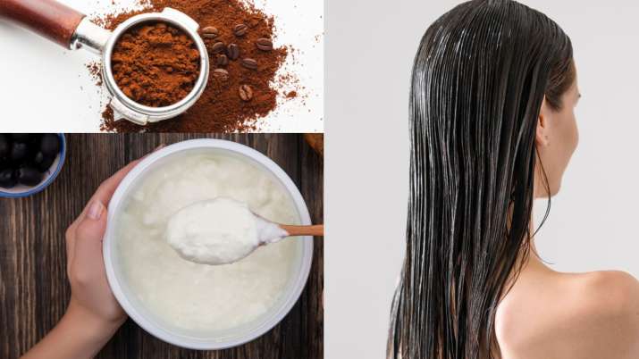          झड़ते बालों पर लगेगी लगाम, जब ऐसे करेंगे दही और कॉफी का इस्तेमाल, घर में बनाएं हेयर मास्क