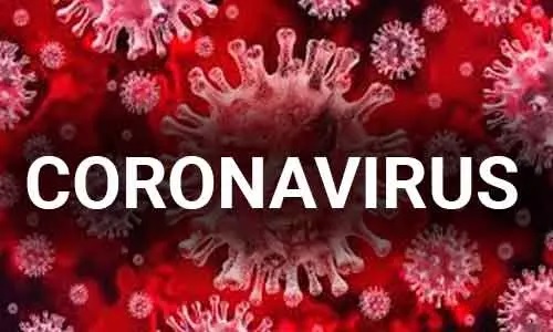 coronavirus, 