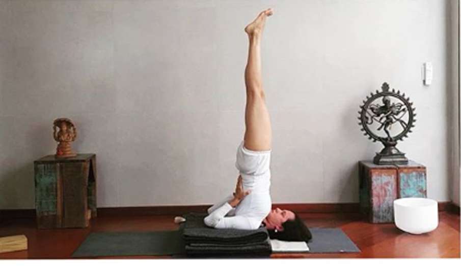 International Yoga Day 2020: Top 5 Most Effective Yoga Asanas To ...