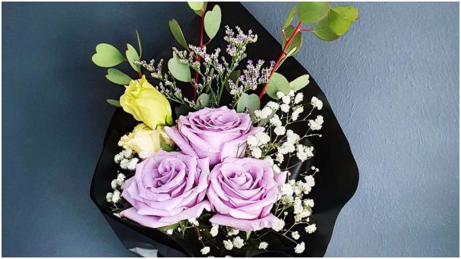 Lavender rose Lavender rose