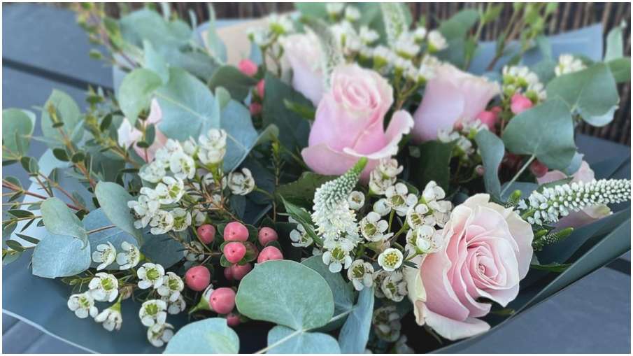 pink roses pink roses