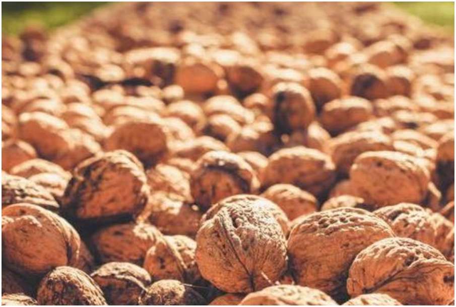 walnuts control Uric acid instantly know when and how to consume
