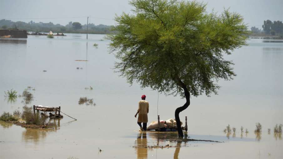 pakistan flood, pakistan news, flood in pakistan, pakistan monsoon rains disaster