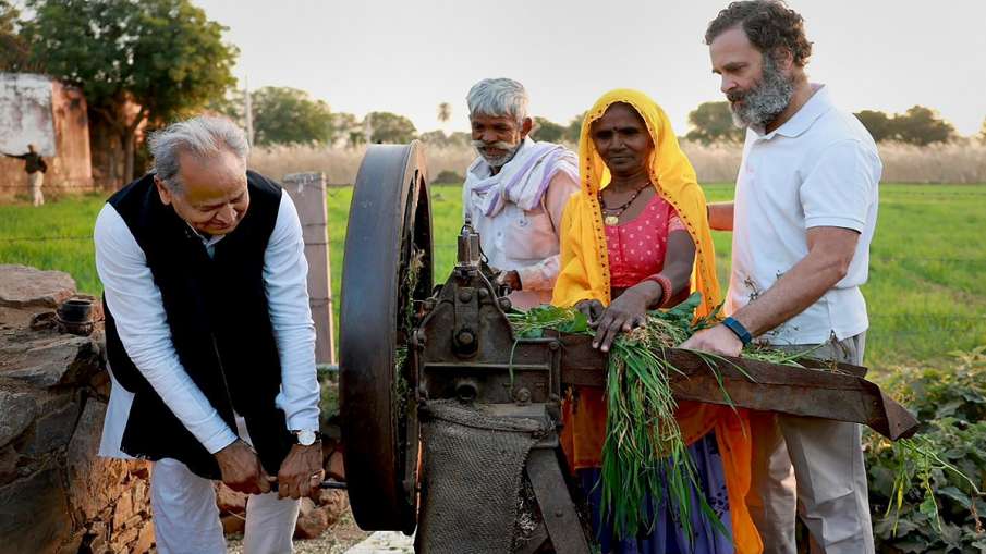 rahul gandhi ashok gehlot