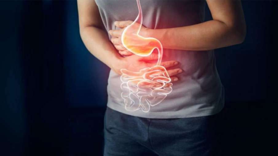 digestion