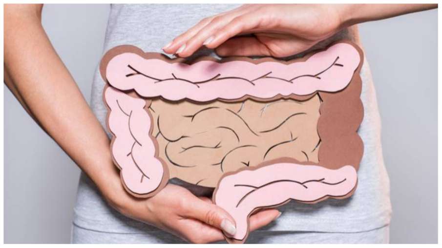 high_metabolism