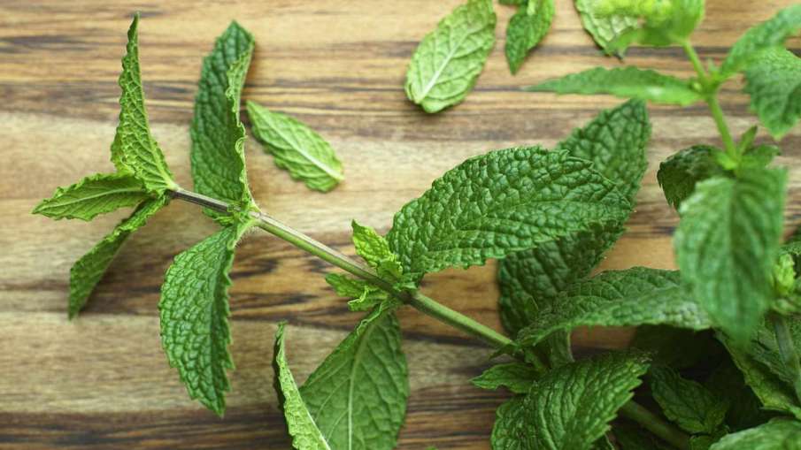 mint_for_health