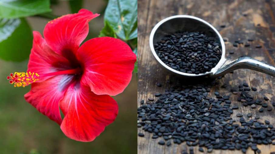 Black Sesame Seeds with hibiscus flower