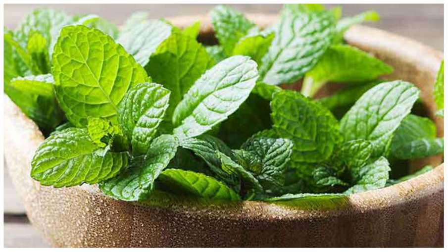 mint_leaves mint_leaves