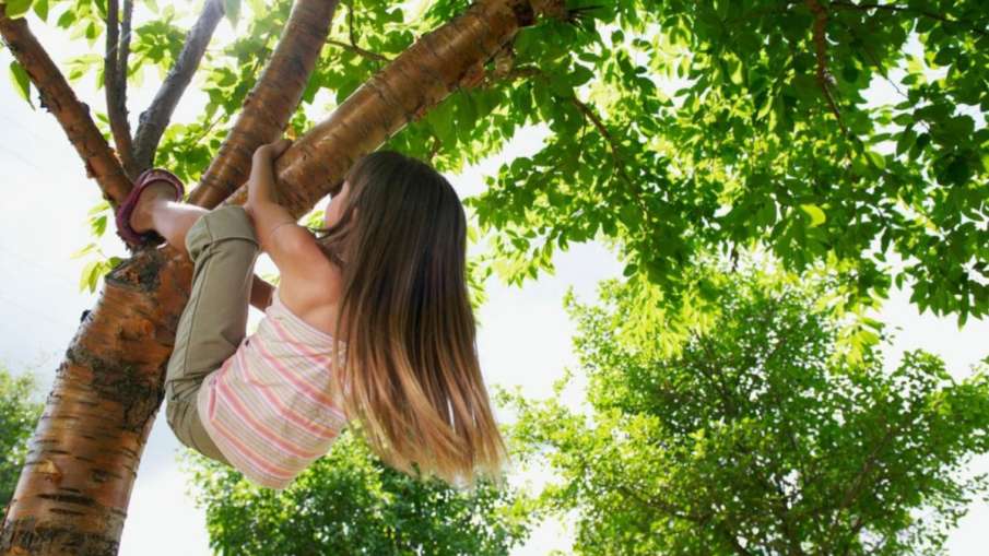 Climbing tree