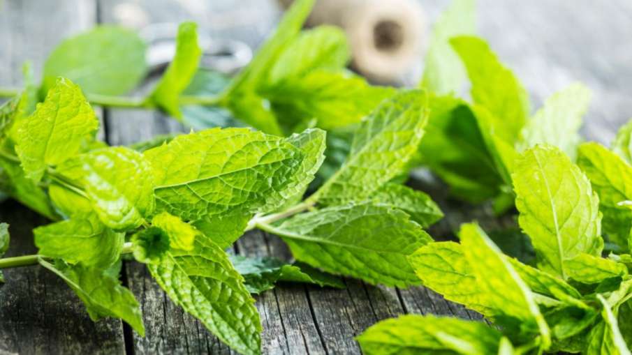 mint_leaves_for_health