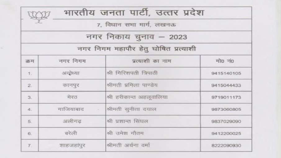 bjp mayor candidates list