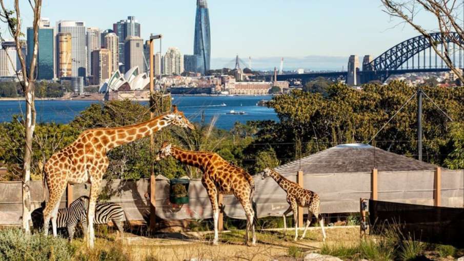 Taronga Zoo Sydney