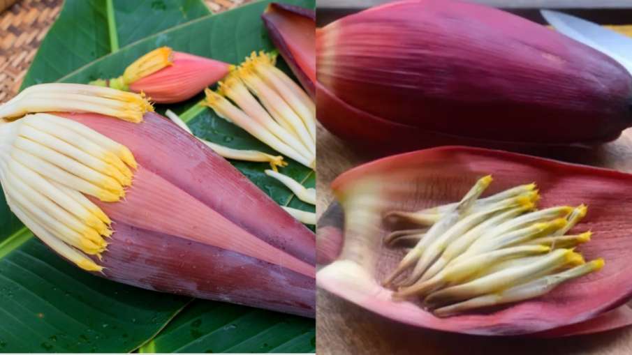  banana flower benefits