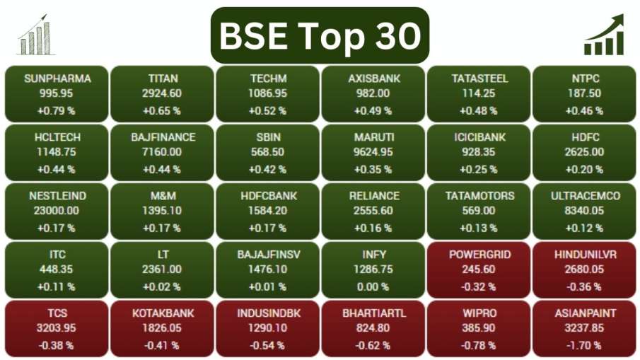 Sensex Top 30 