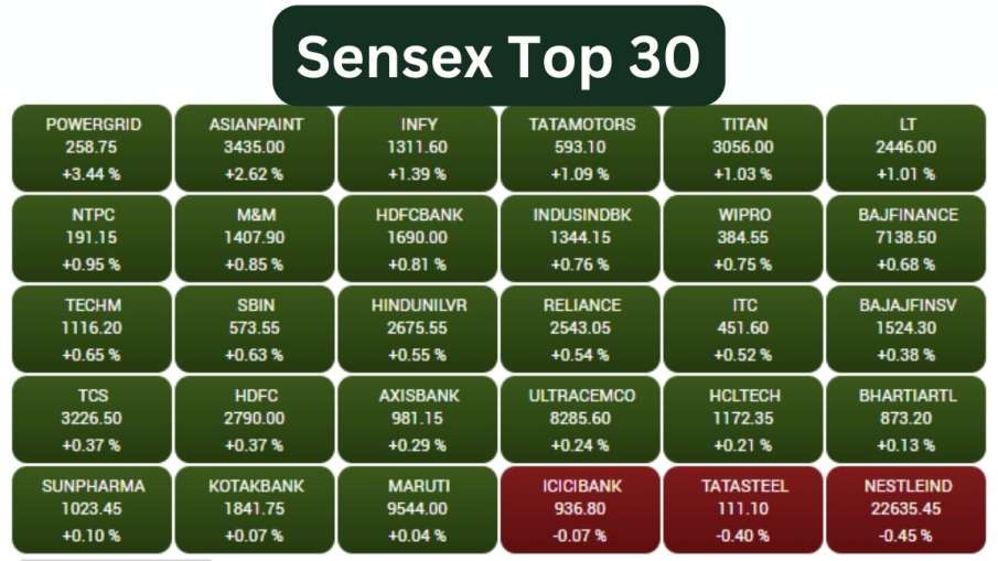 stock market