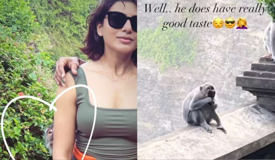 Samantha Ruth Prabhu lost her sunglasses to monkey bali vacation video viral  