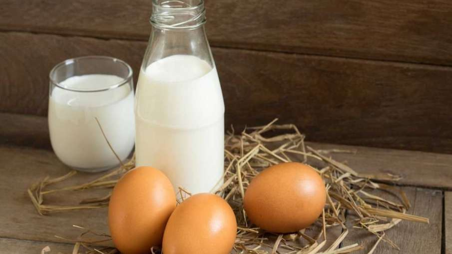 अंडा या दूध, किसमें है सबसे ज्यादा प्रोटीन Egg vs Milk Which has