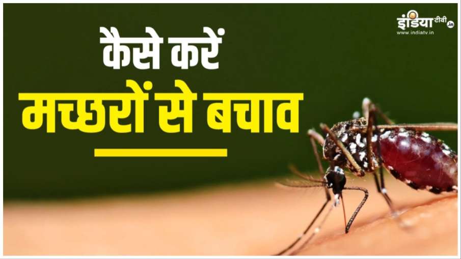 mosquitoes_prevention_tips