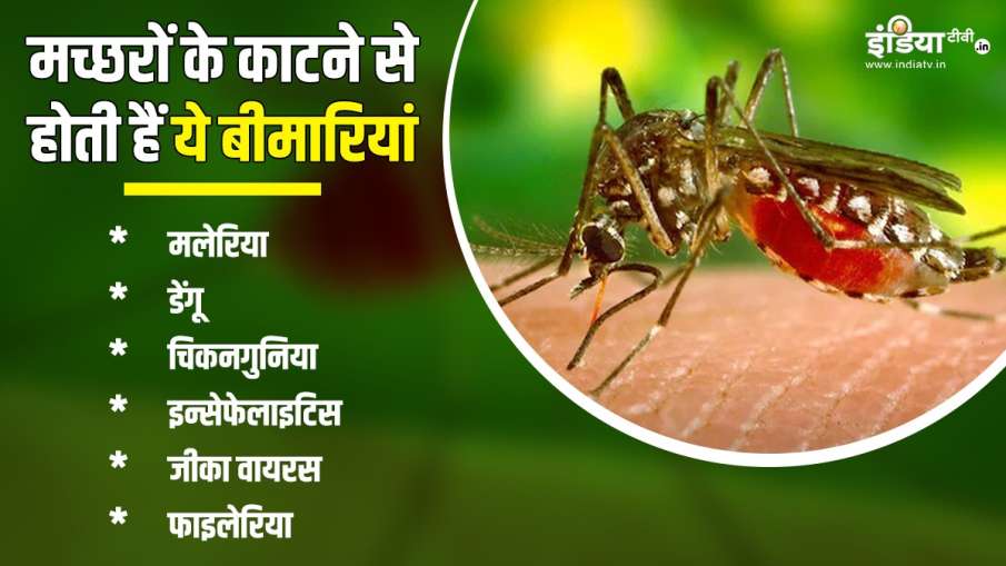 mosquito_diseases