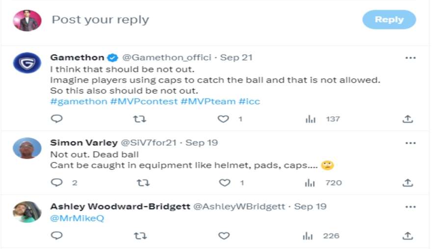 Cricket Fans Reaction