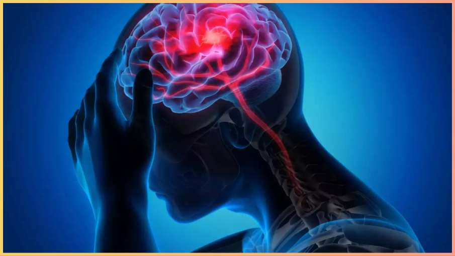 causes of stroke in hindi causes of stroke in hindi