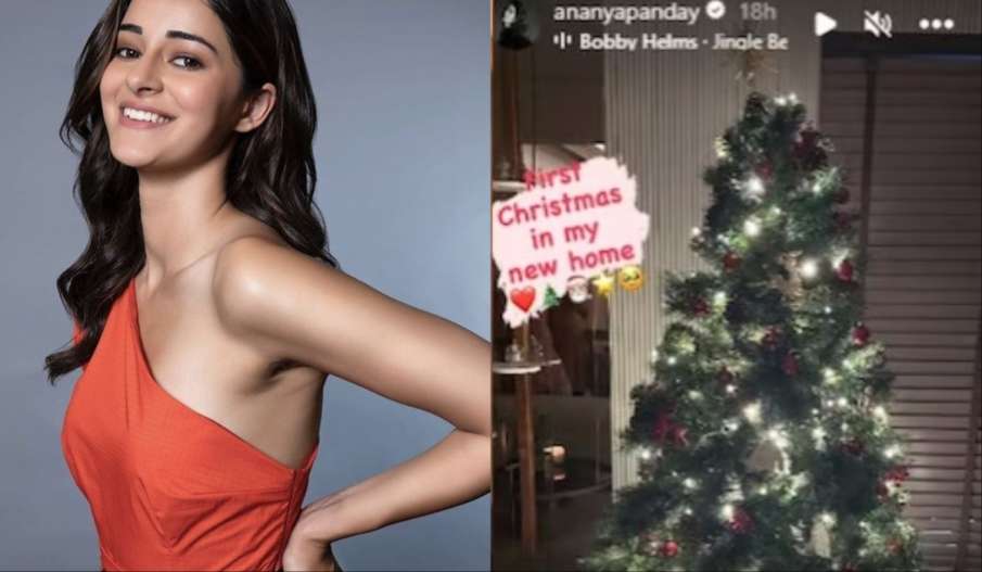 Ananya Pandey, Christmas 2023 