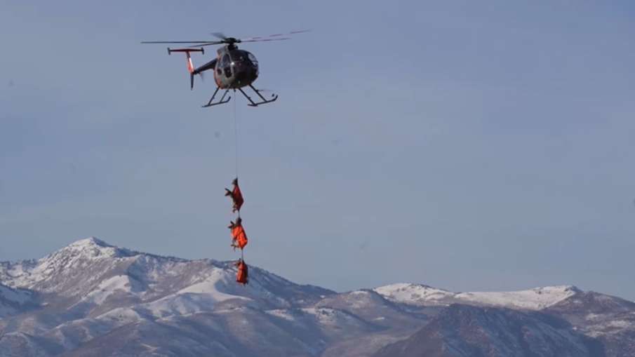 These deer are tied to a rope attached to the helicopter and hanged.