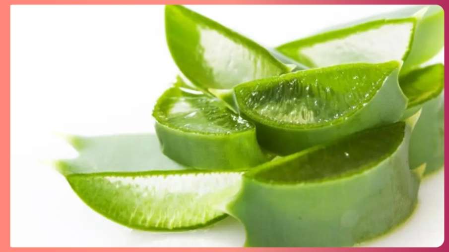 aloevera for dry skin