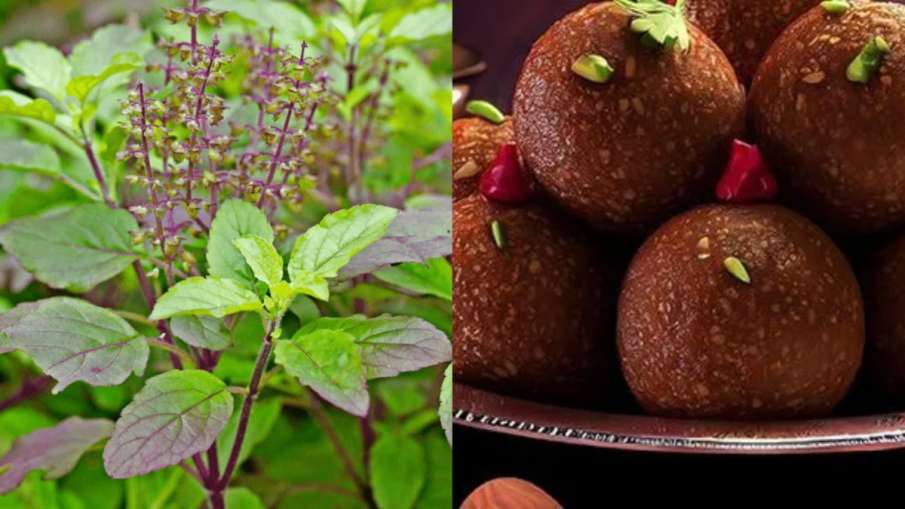  tulsi mithai 