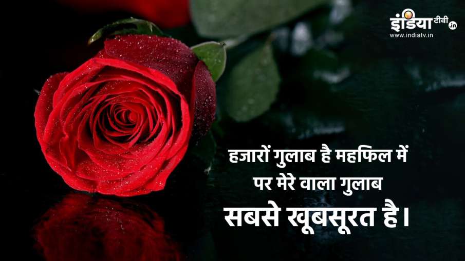 Rose Day