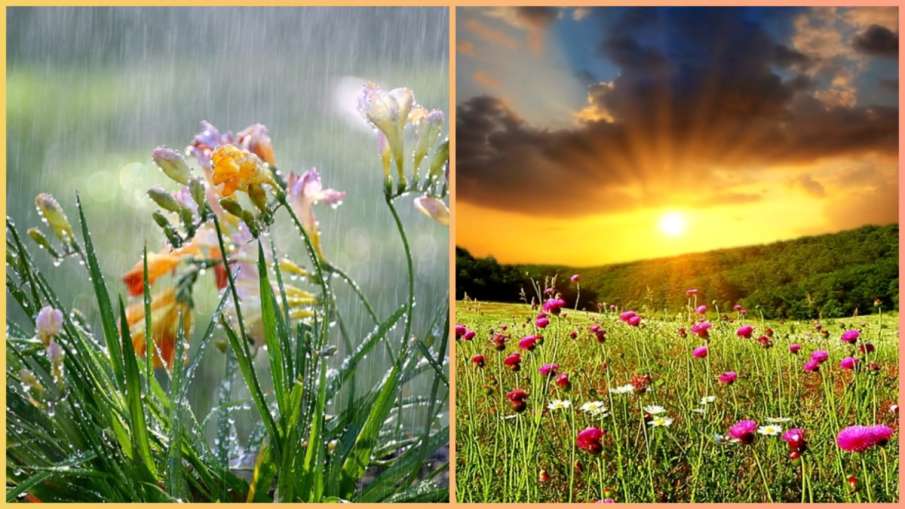 How do flowers know weather is changing