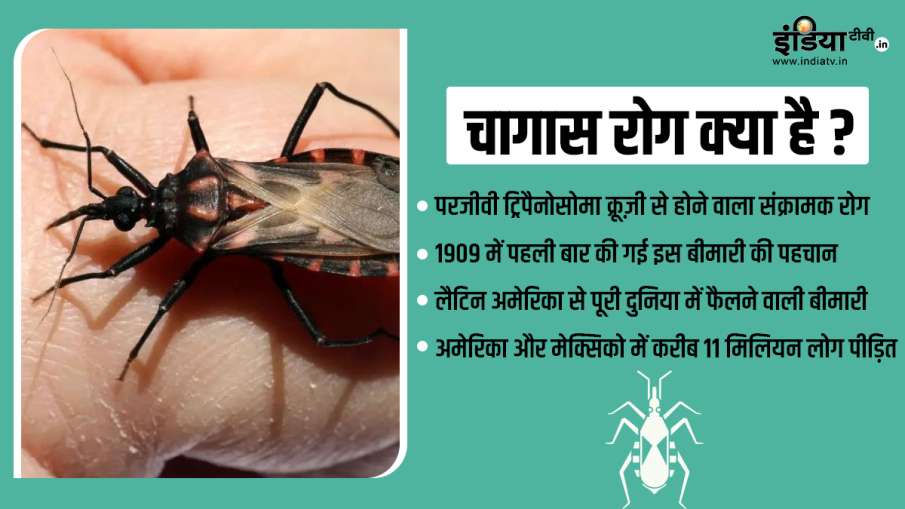 Chagas disease