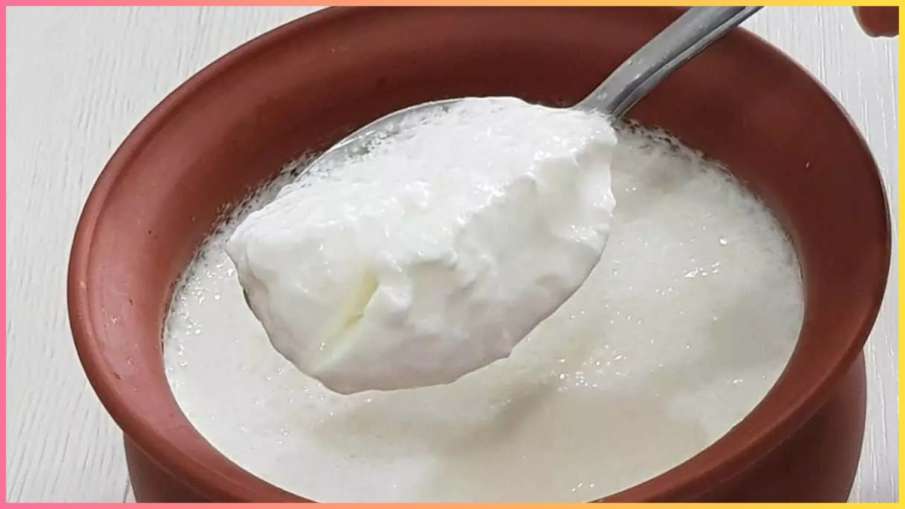 dahi