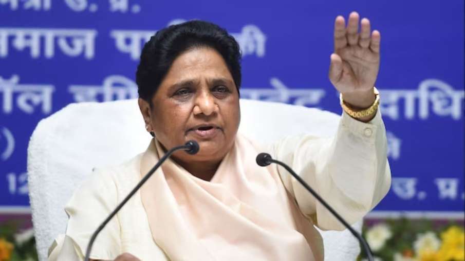 Lok Sabha Elections 2024, Mayawati sacks Akash Anand