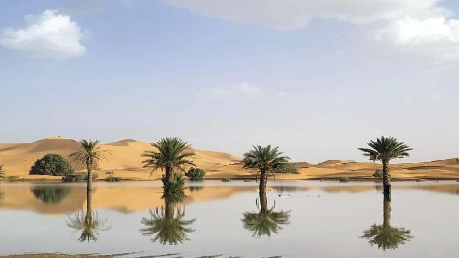 Rain In Morocco Sahara Desert