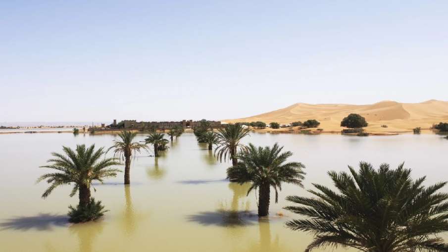 Rain In Morocco Sahara Desert