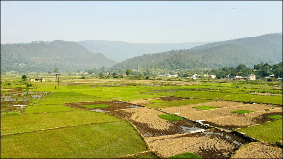 Chaukhutiya Hills