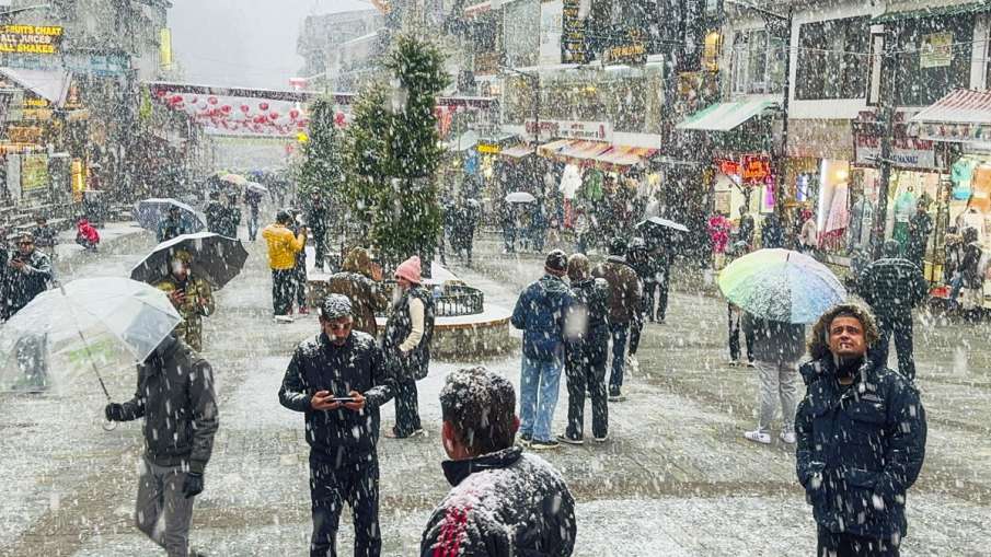 manali snowfall