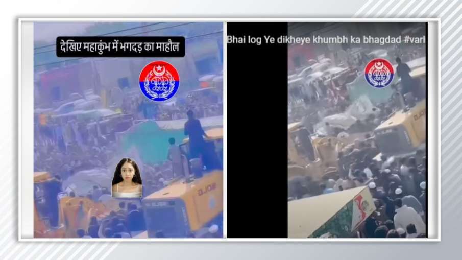 Verificação de fatos