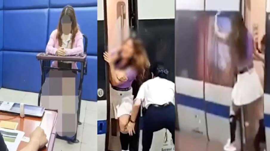 Woman in China uproar to stop high-speed train, arrested