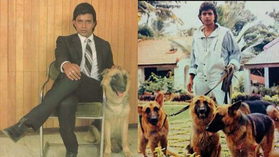 mithun Chakraborty