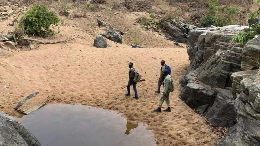 Terror of gunmen in Nigeria (symbolic picture) Terror of gunmen in Nigeria (symbolic picture)