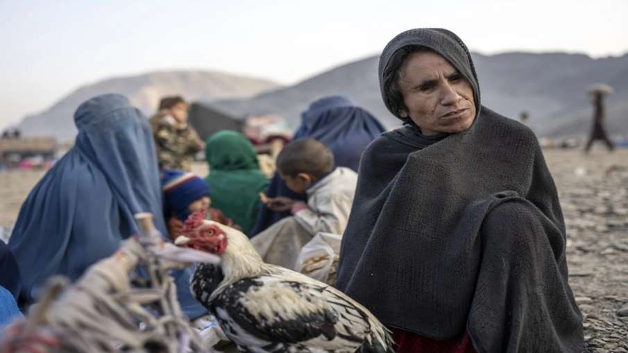 Refugiados do Paquistão afegãos