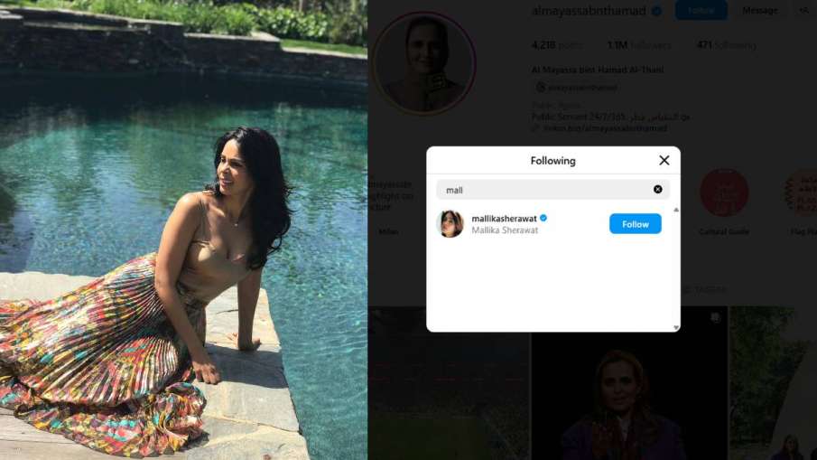 Princess al-Mayassa Follows Mallika Sherawat