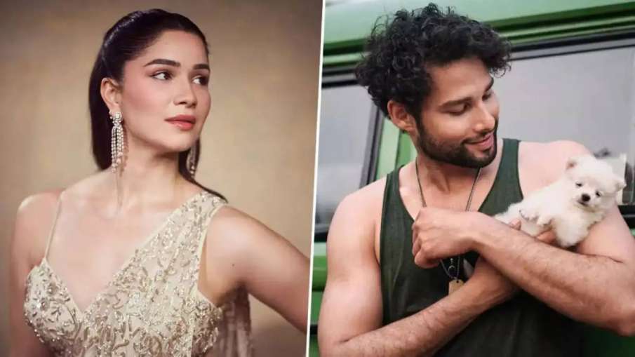Sara Tendulkar, Sidhant Chaturvedi