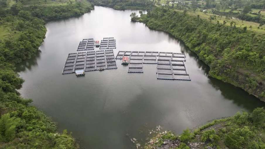 Jharkhand fish farming, abandoned coal mines, coal pit fish farming