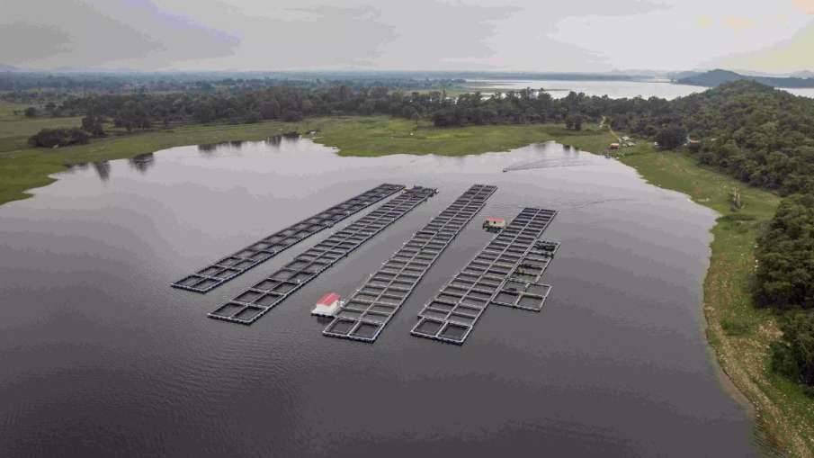 Jharkhand fish farming, abandoned coal mines, coal pit fish farming