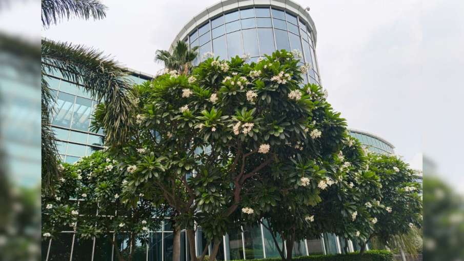 Infinix Note 50s 5G, Infinix Note 50s, Infinix Note 50s Price, Infinix Note 50s review